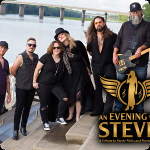 An Evening with Stevie 