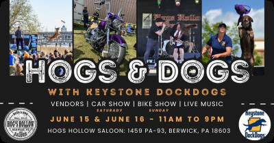 Hogs and Dogs
