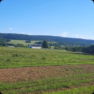 Behind The Barn