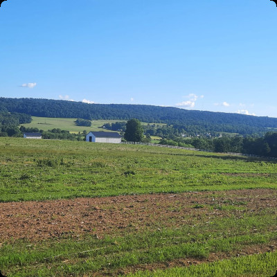 Behind The Barn