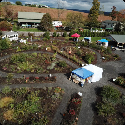 Folk's Butterfly Farm